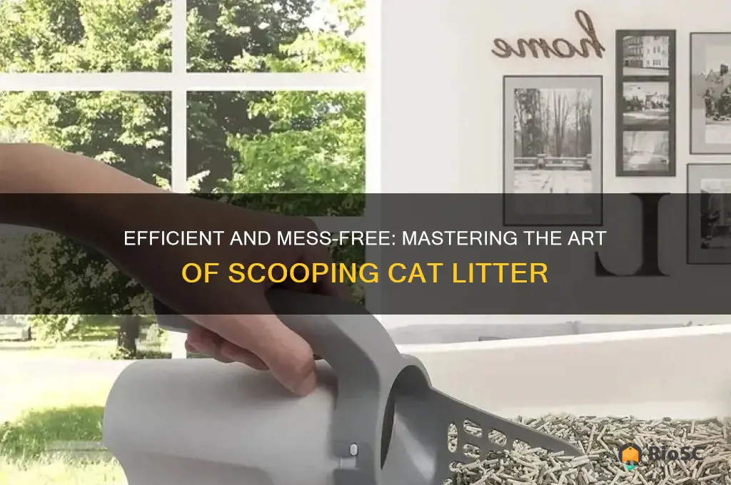 best way to scoop cat litter