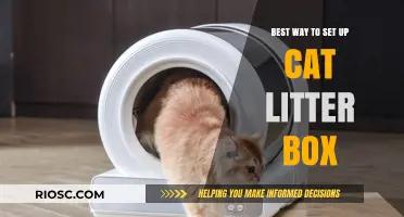 Purr-fect Placement: The Ultimate Guide to Setting Up Your Cat’s Litter Box for Maximum Comfort and Cleanliness