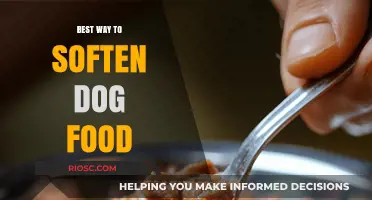 Effective Methods to Soften Dog Food for Picky Eaters and Sensitive Stomachs