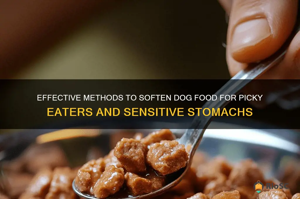 best way to soften dog food