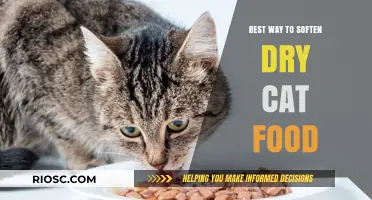Purr-fectly Soft: The Gentle Guide to Moistening Your Feline's Kibble