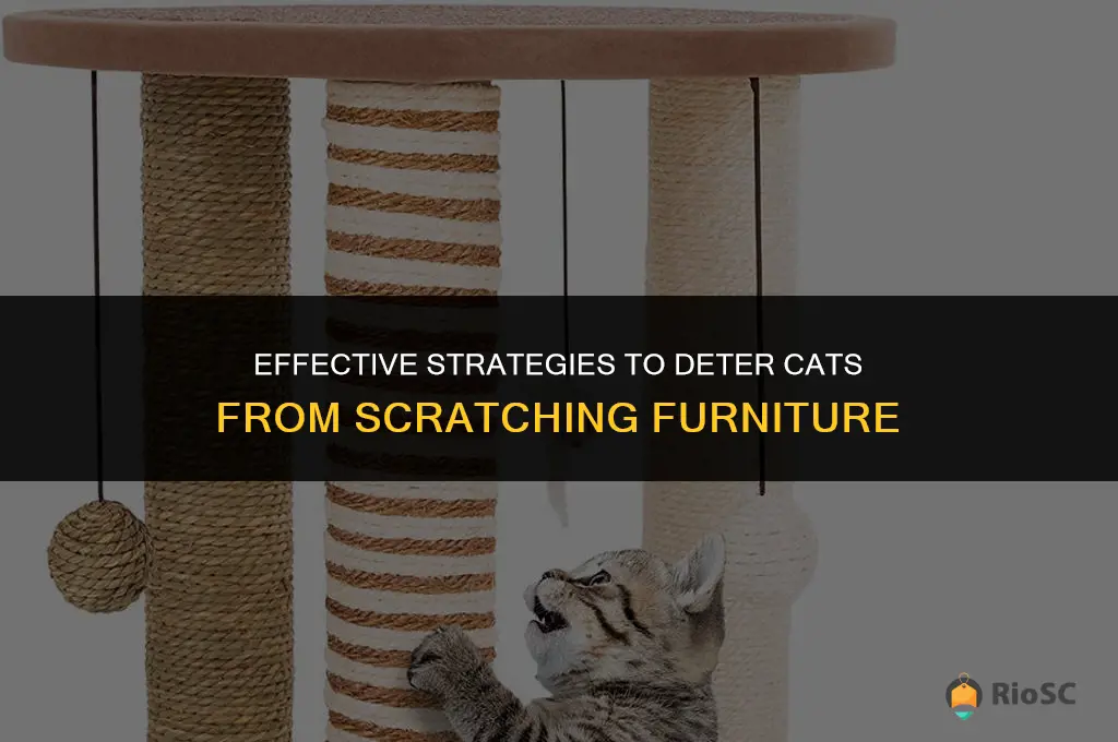 best way to stop cat scratching furniture