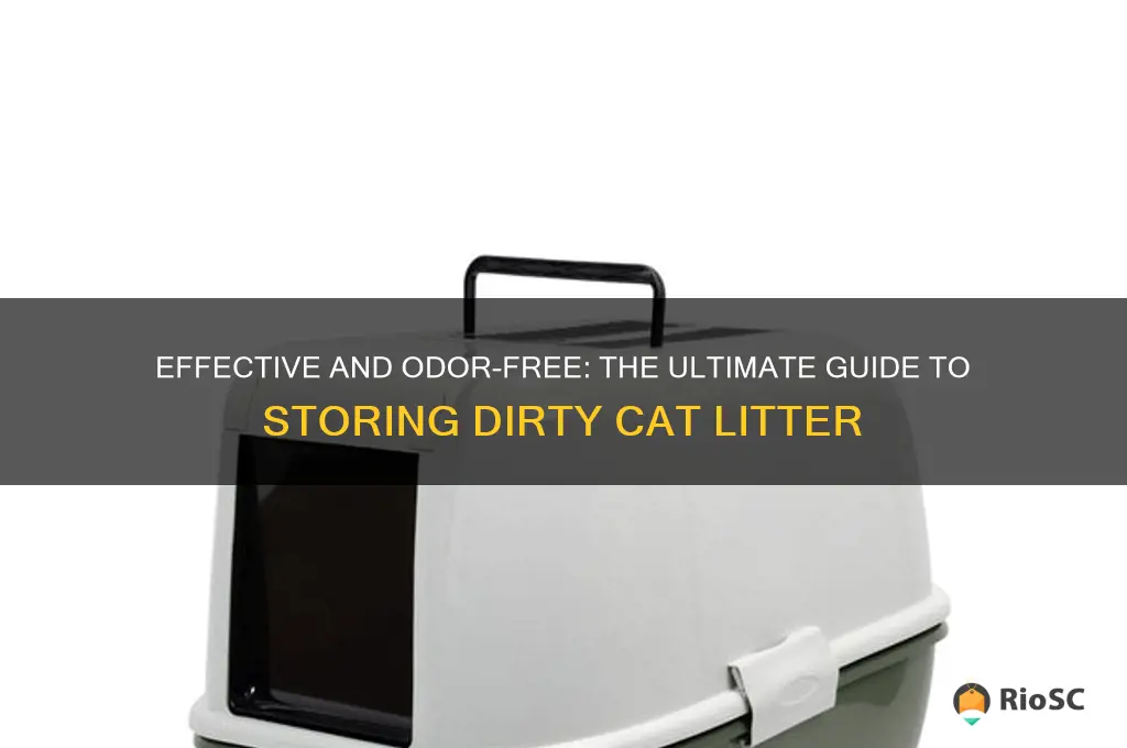 best way to store dirty cat litter