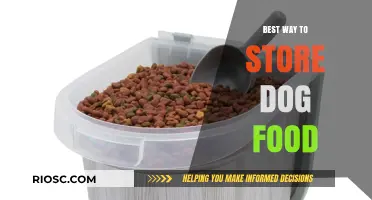 Effective Dog Food Storage: Tips to Keep Your Pet’s Meals Fresh and Safe