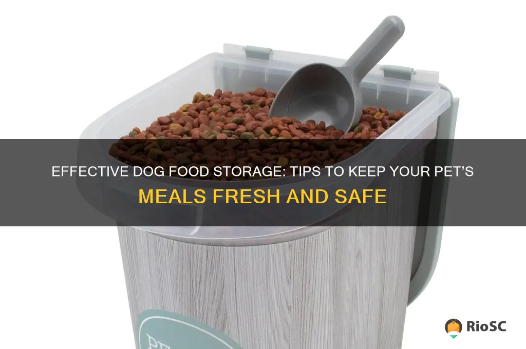 best way to store dog food