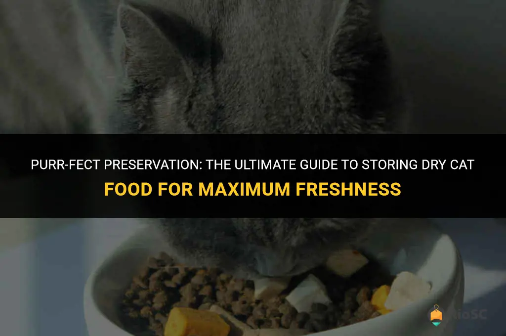 best way to store dry cat food