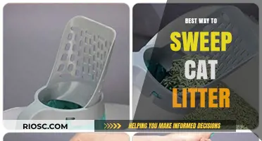 Efficient and Mess-Free: The Ultimate Guide to Sweeping Cat Litter
