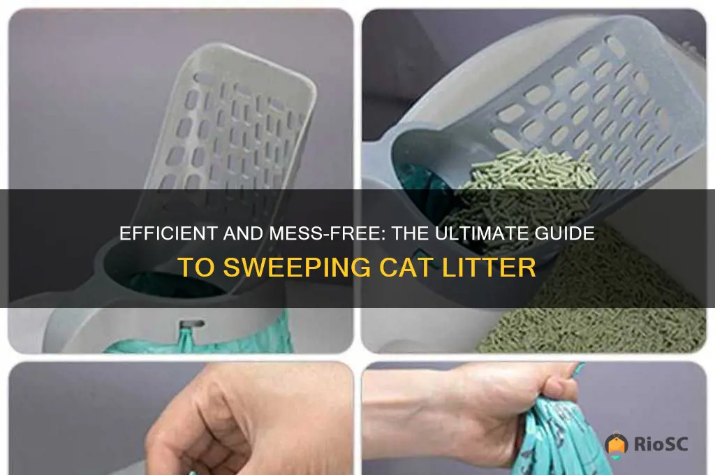 best way to sweep cat litter