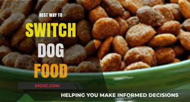 Seamless Transitions: The Ultimate Guide to Safely Switching Your Dog's Food