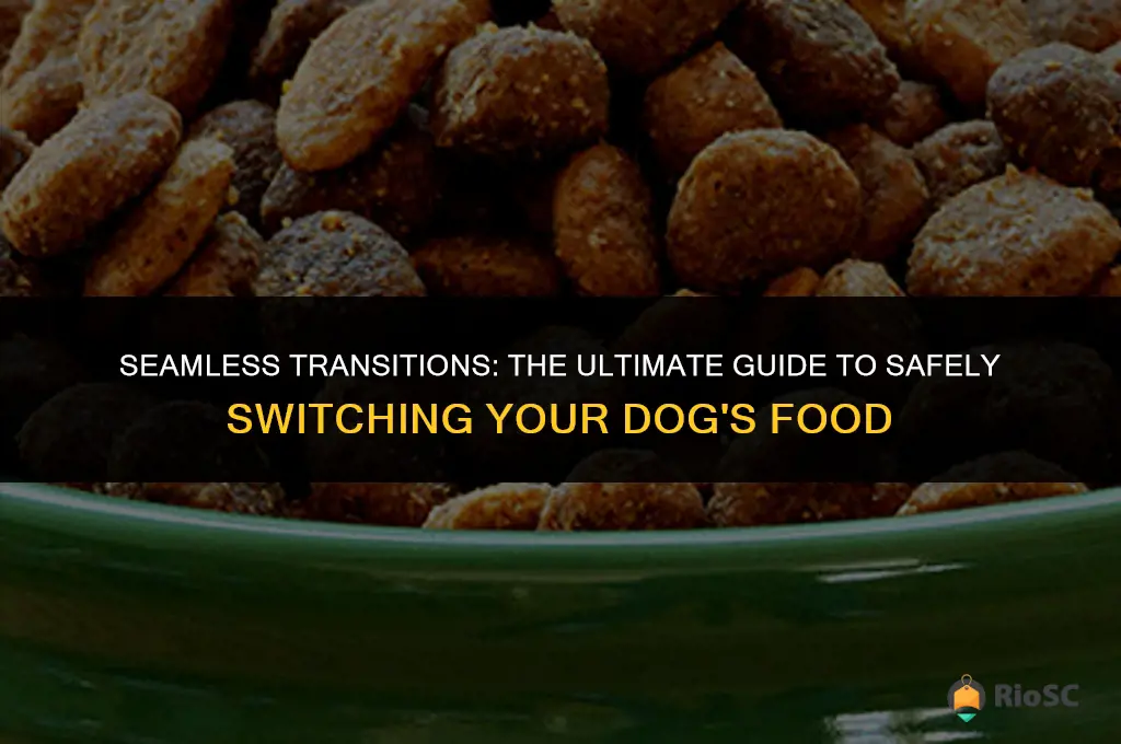 best way to switch dog food