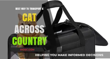 Purr-fectly Safe Travels: Your Guide to Transporting a Cat Across the Country