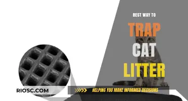 Effective and Mess-Free: The Ultimate Guide to Trapping Cat Litter