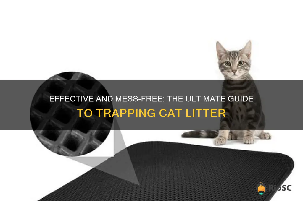 best way to trap cat litter