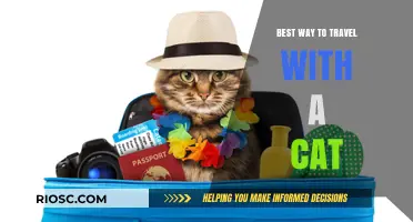Purr-fect Journey: Tips for Traveling with Your Feline Companion