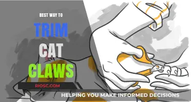 Purr-fectly Safe: A Gentle Guide to Trimming Your Cat's Claws