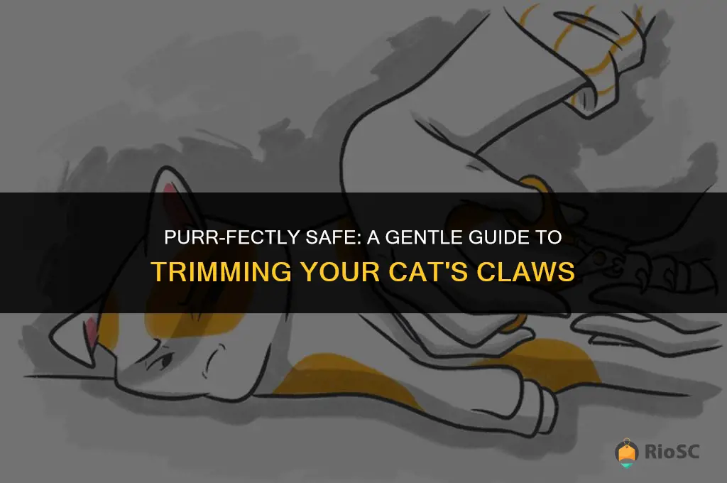 best way to trim cat claws