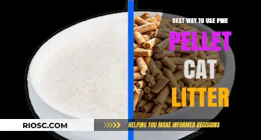 Maximizing Efficiency: The Ultimate Guide to Using Pine Pellet Cat Litter