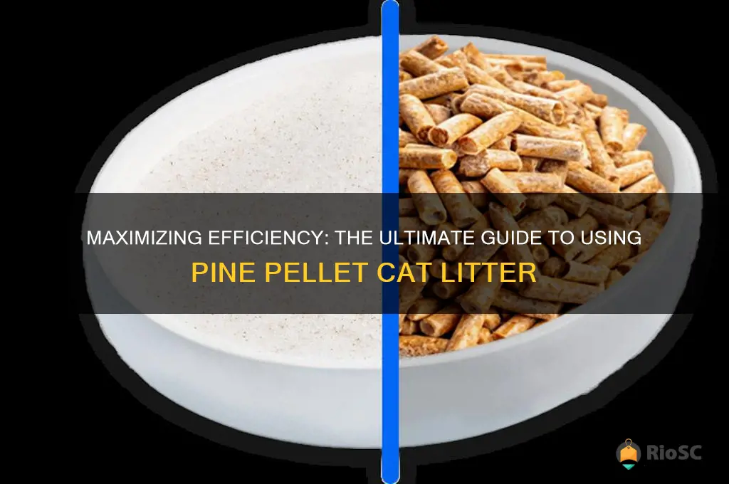 best way to use pine pellet cat litter