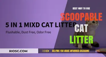 Maximizing Efficiency: The Ultimate Guide to Using Scoopable Cat Litter Effectively