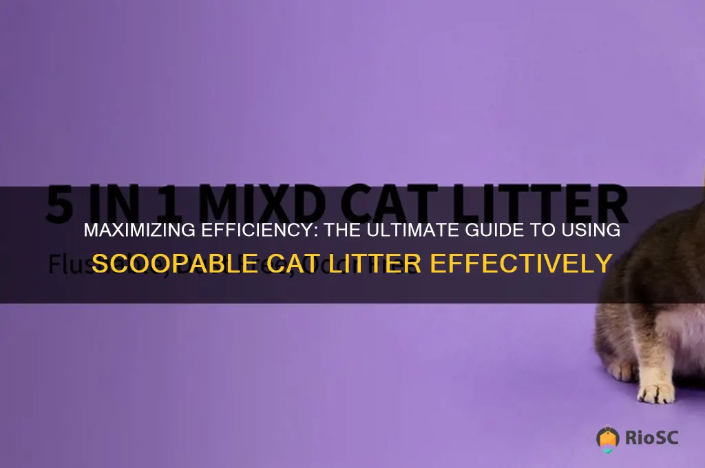 best way to use scoopable cat litter