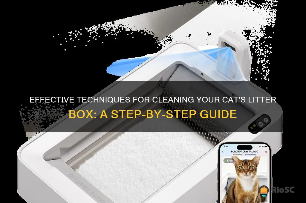 best way to wash cat litter box