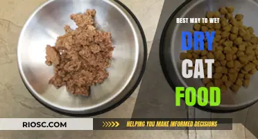 Reviving Kibble: The Optimal Method for Wetting Dry Cat Food