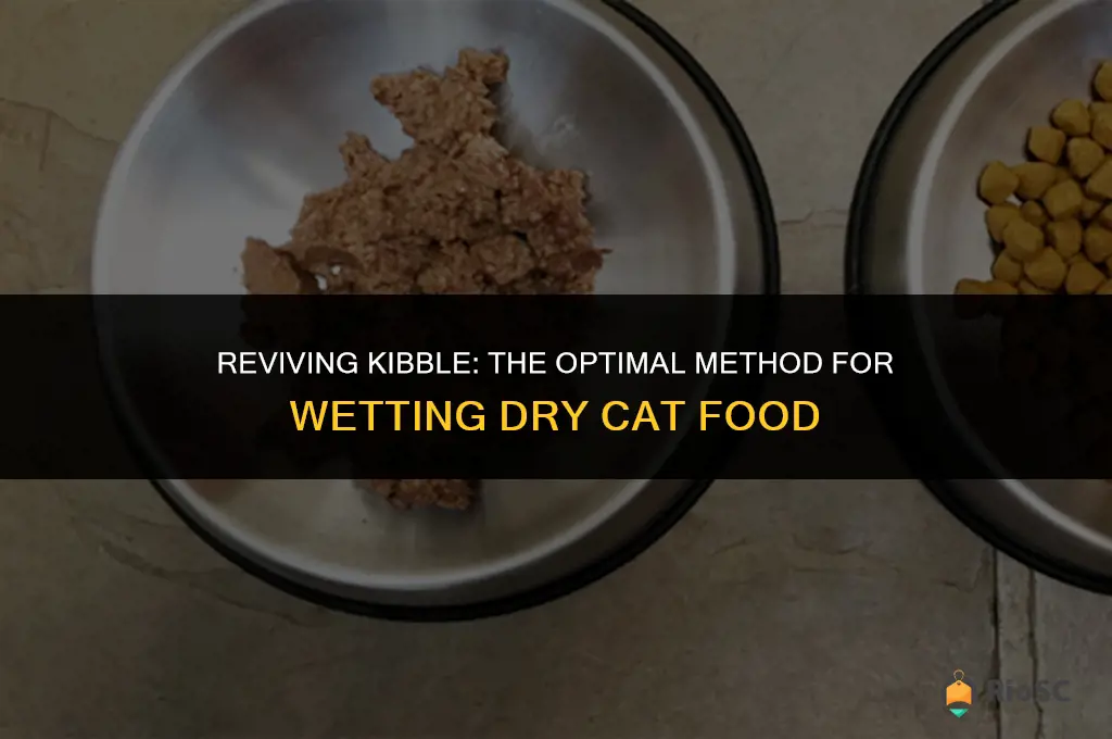 best way to wet dry cat food