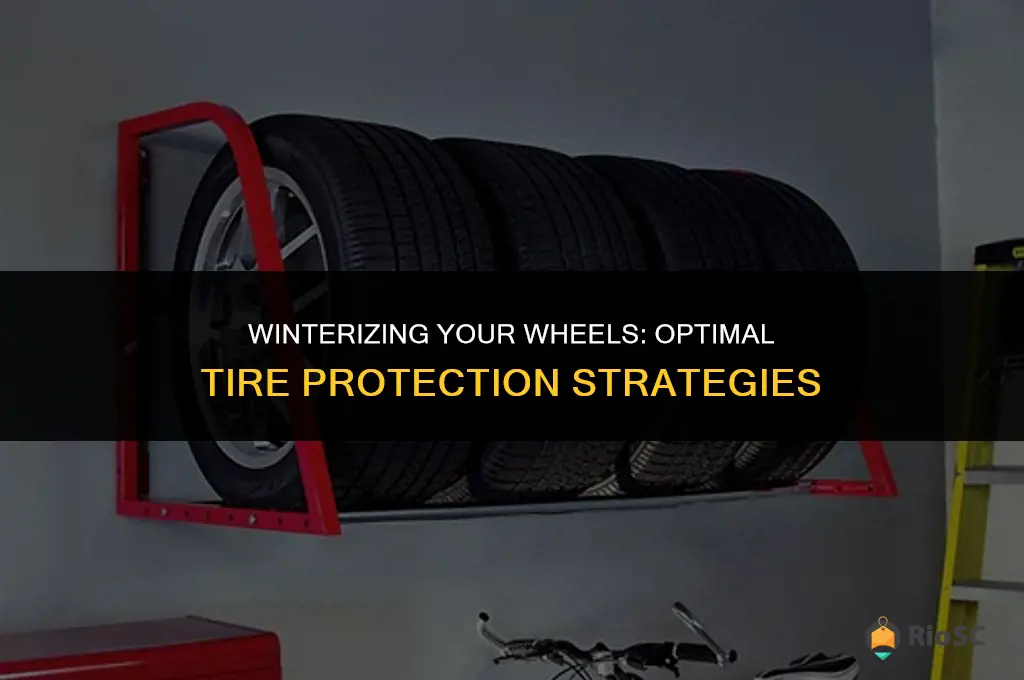 best waybto protect tires over winter