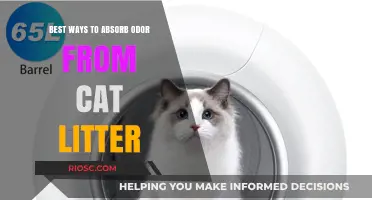 Effective Strategies to Eliminate Cat Litter Odors and Keep Your Home Fresh