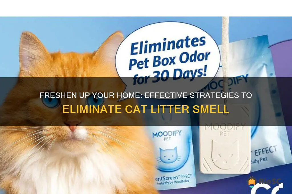 best ways to get rid of cat litter smell
