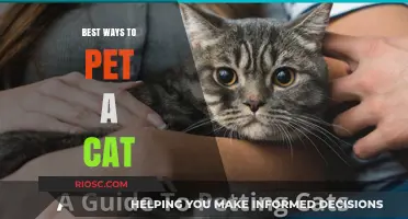 Purr-fecting the Art of Cat Petting: Tips for a Feline-Friendly Interaction