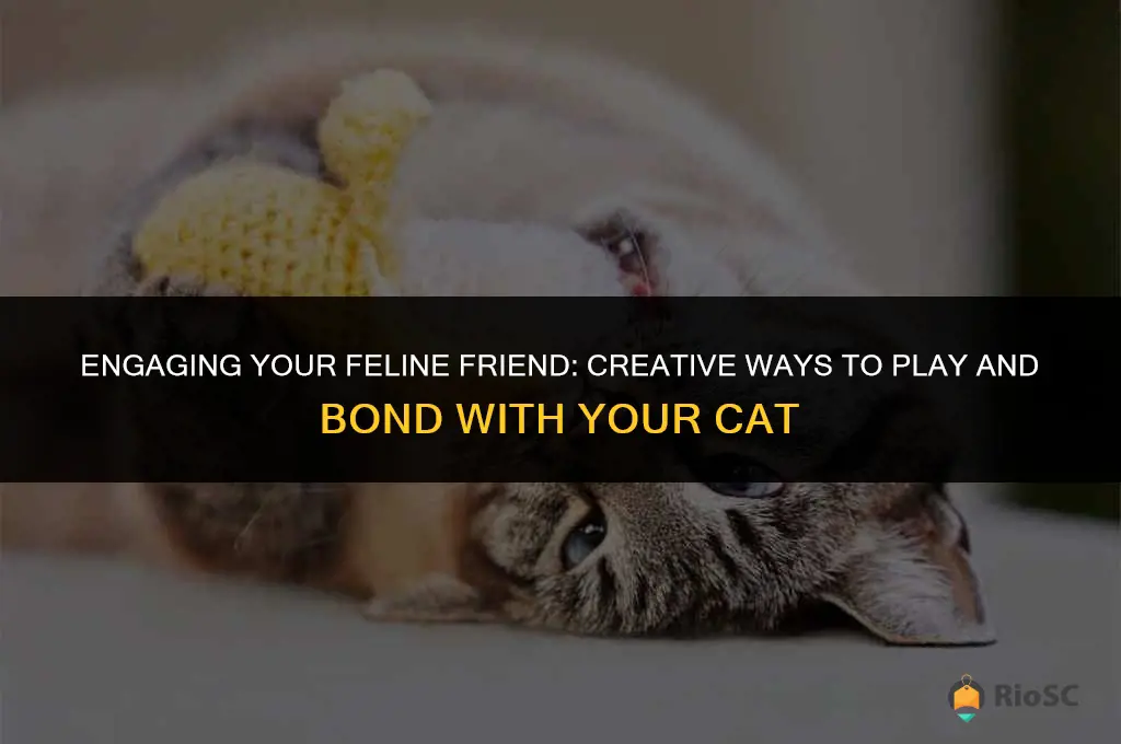 best ways to play with your cat