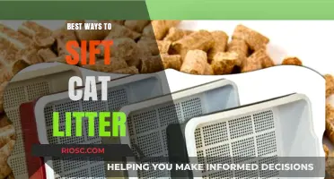 Efficient Techniques for Sifting Cat Litter: Keep Your Cat's Box Clean and Fresh