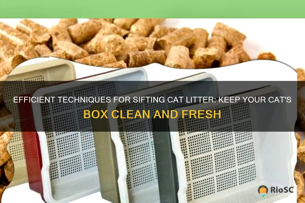 best ways to sift cat litter