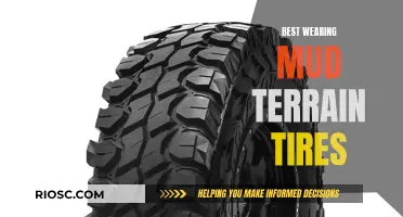 Mud-Slinging: Finding the Best Mud Terrain Tires for Your Off-Road Adventures