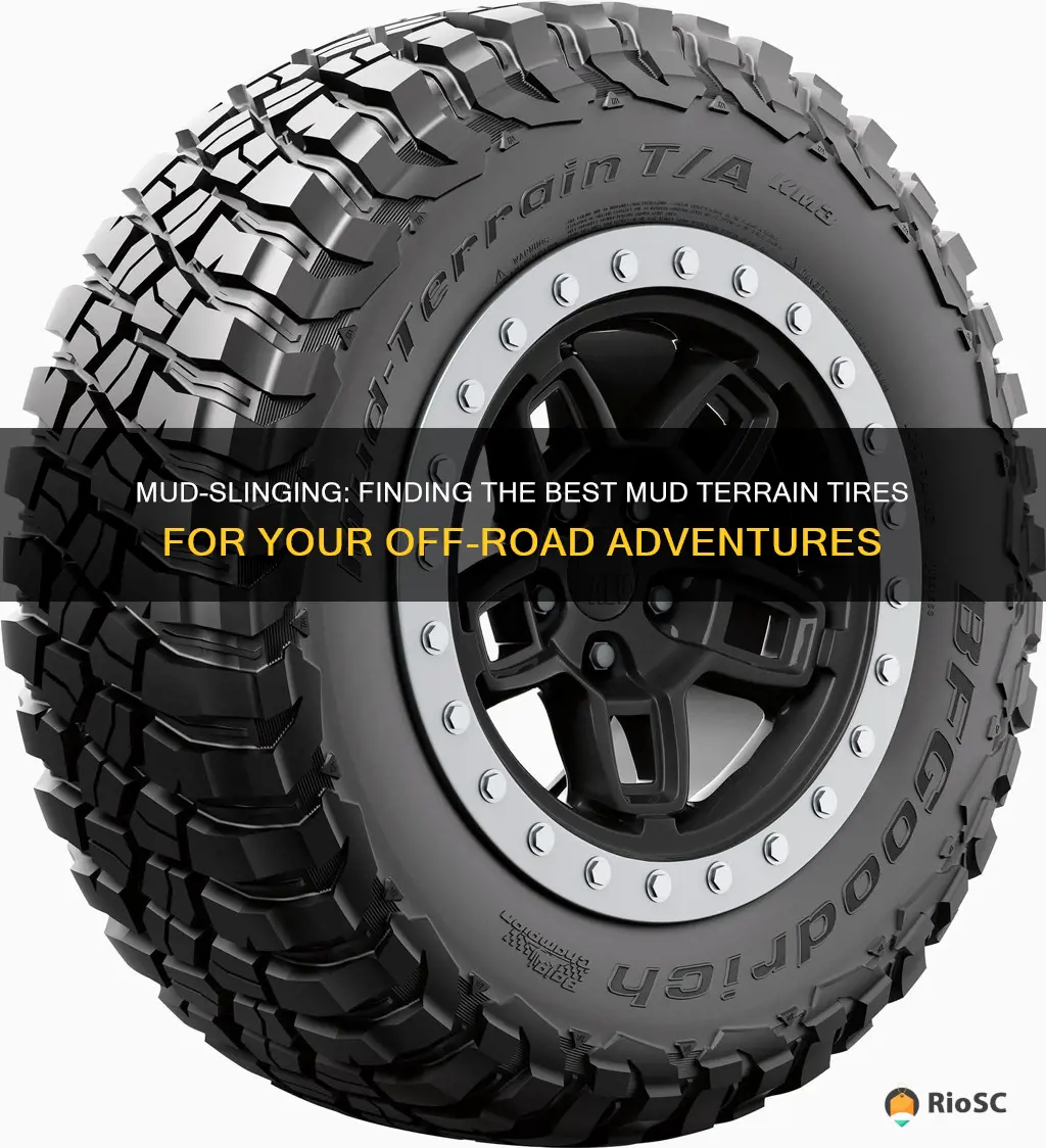 best wearing mud terrain tires