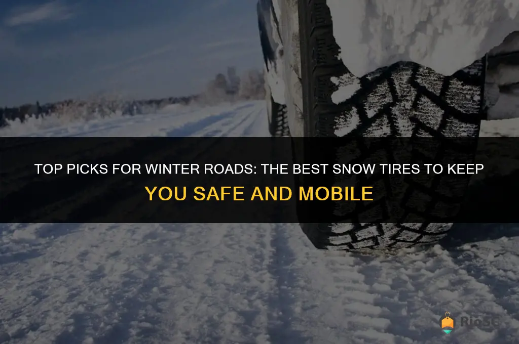 best wearing snow tires