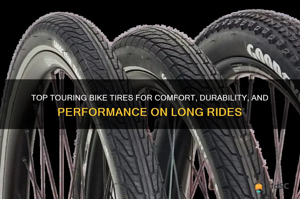 best wearing touring bike tires