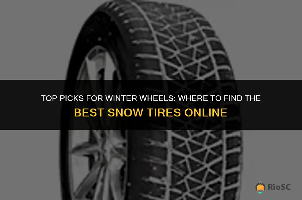 best website to buy snow tires
