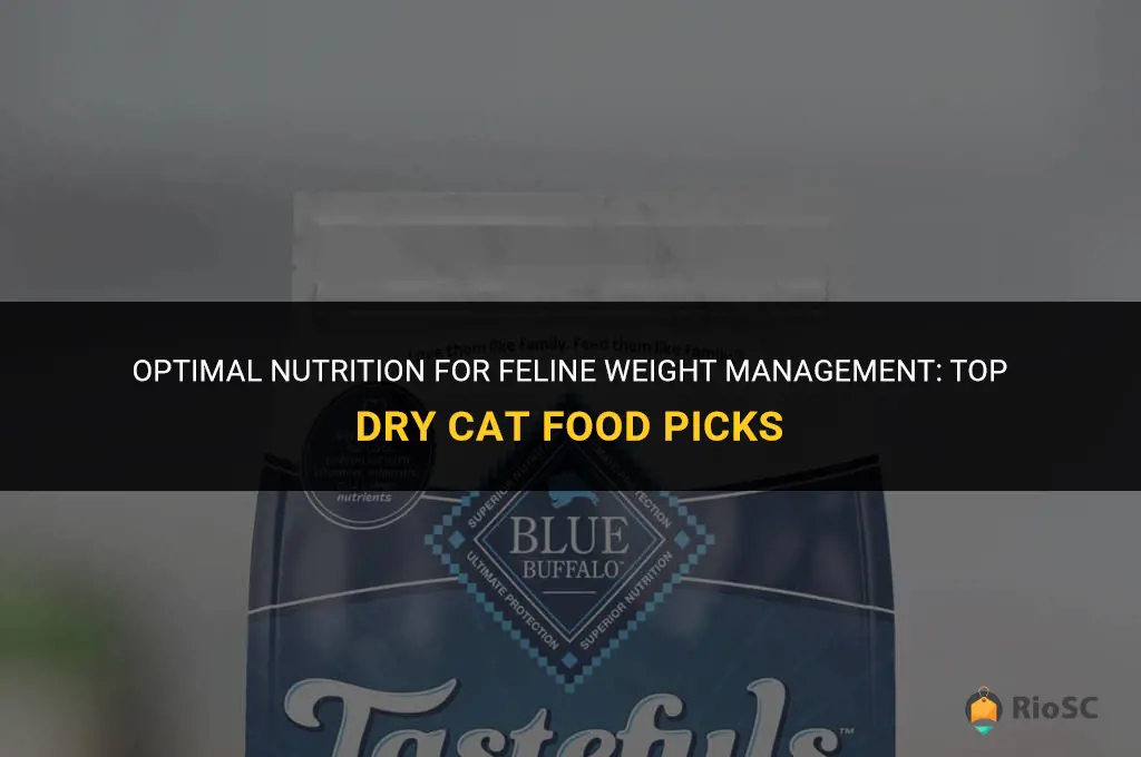 best weight control dry cat food