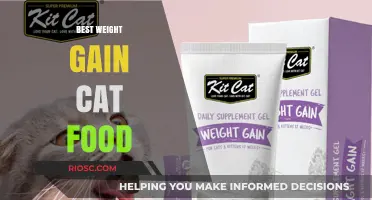Top Picks for Weight Gain Cat Food: Nourishing Your Feline to Optimal Health