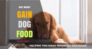 Top Nutritious Dog Foods for Healthy Weight Gain: Expert Recommendations