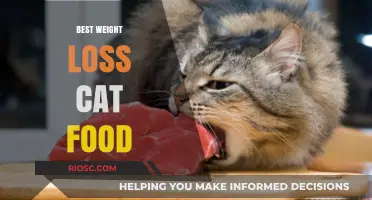 Slimming Down Your Feline Friend: The Ultimate Guide to Weight Loss Cat Food