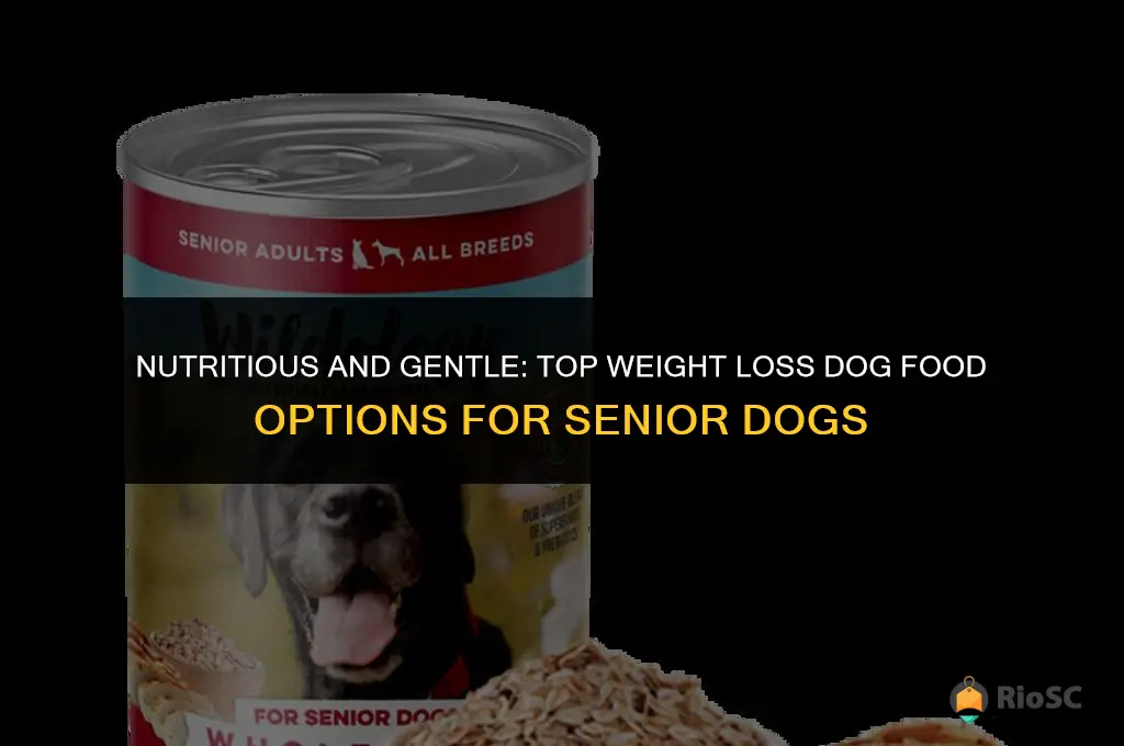 best weight loss dog food for seniors