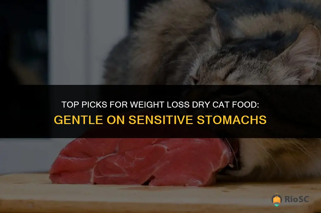 best weight loss dry cat food sensitive stomach