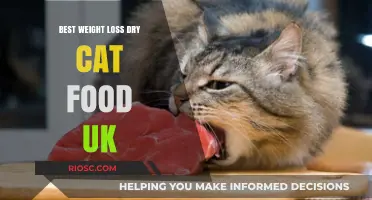 Top Picks for Weight Management Dry Cat Food in the UK: A Comprehensive Guide