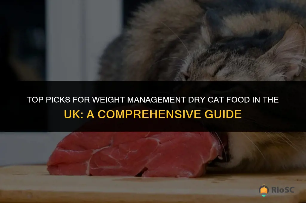 best weight loss dry cat food uk