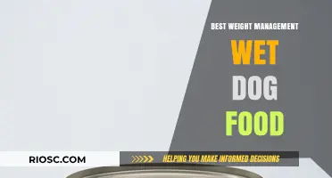 Top Picks for Healthy Weight Management: Best Wet Dog Foods to Keep Your Pup Fit and Happy