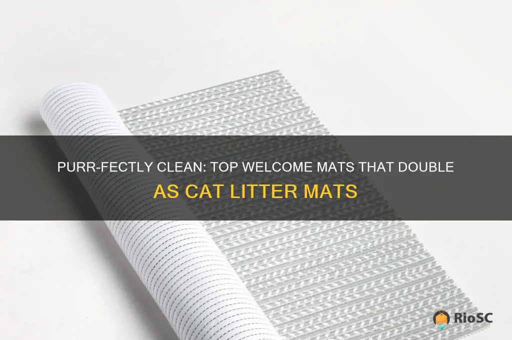 best welcome mat for cat litter mat