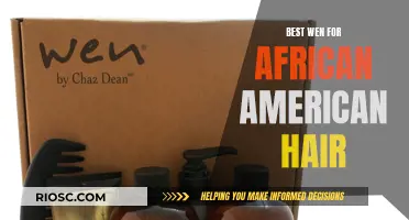 Nourishing Natural Curls: Discovering the Best WEN for African American Hair